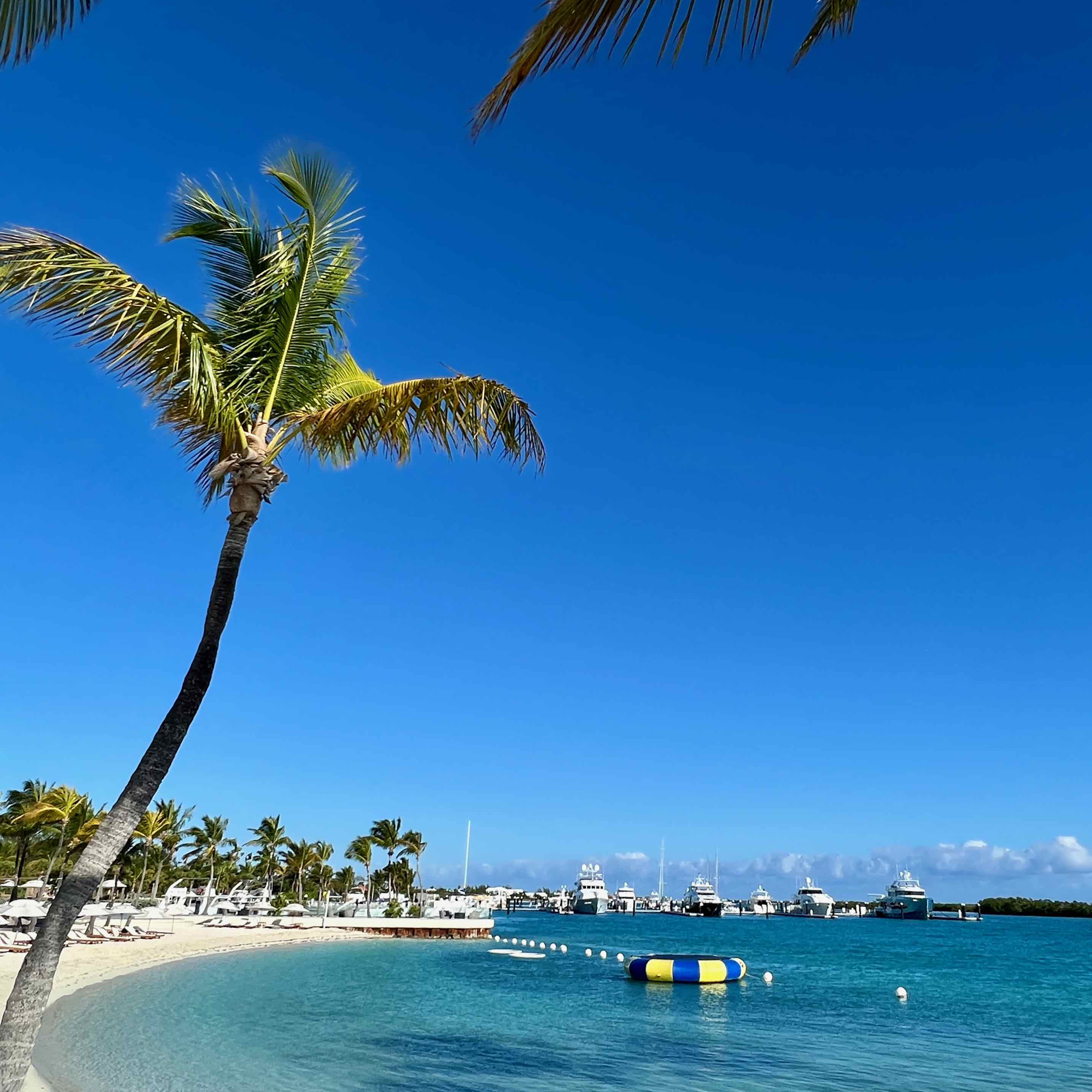 Blue Haven Resort and Marina
